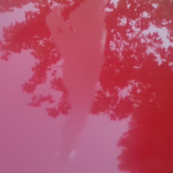 Yetkili Serviste Değişen Kaputta Cila Sorunu Ve Kalitesiz İşçilik