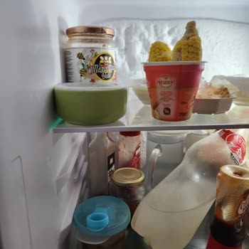 Vestfrost Buzdolabının İçinde Aşırı Buzlanma Ve Servis Sorunu