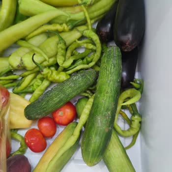 Bosch Değişim İçin Beklenen Buzdolabı Hâlâ Teslim Edilmedi