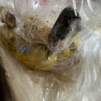 Bozuk Ürün Ve Yetersiz Müşteri Hizmeti Nedeniyle Çözüm Bekliyorum