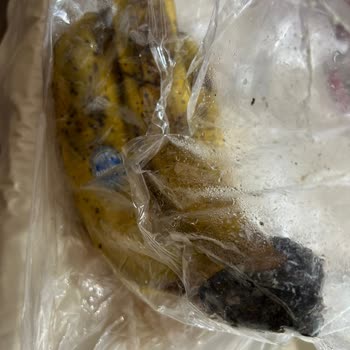 Bozuk Ürün Ve Yetersiz Müşteri Hizmeti Nedeniyle Çözüm Bekliyorum