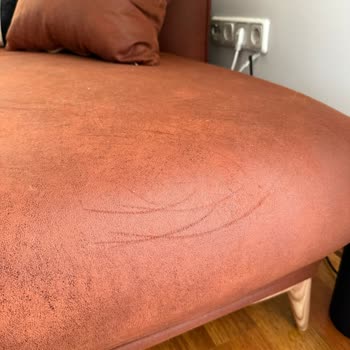 Bir Haftada Yıpranan Kedi Dostu Kanepe Hayal Kırıklığı