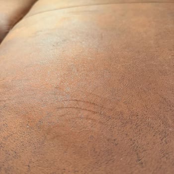 Bir Haftada Yıpranan Kedi Dostu Kanepe Hayal Kırıklığı