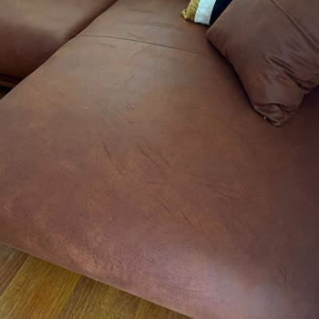 Bir Haftada Yıpranan Kedi Dostu Kanepe Hayal Kırıklığı