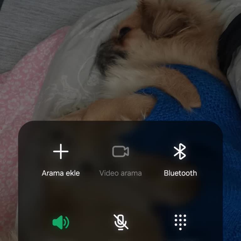 TEB Bankası'nda Kredi Borcu Bilgisine Ulaşamıyorum Ve İletişim Sorunu Yaşıyorum