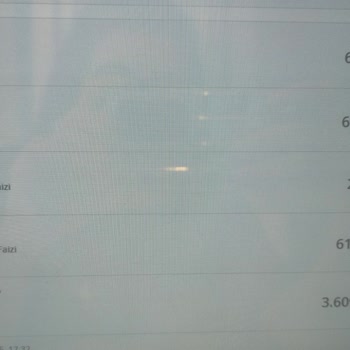 Kredi Kartıma Her Ay Yüksek Ve Belirsiz Faiz Kesintileri Yapılıyor