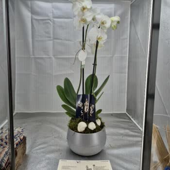 Müşteri Hizmetleri İlgisizliği Ve Yanlış Sipariş Onayı Mağduriyeti