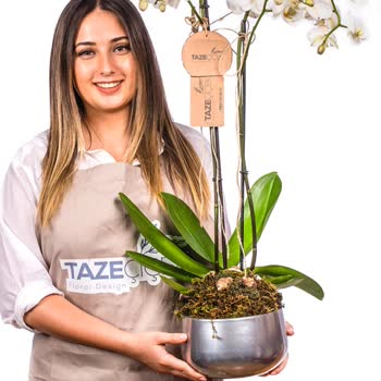 Müşteri Hizmetleri İlgisizliği Ve Yanlış Sipariş Onayı Mağduriyeti