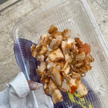 Deva Tempo Dinlenme Tesisleri'ndeki Köpeklerin Açlık Ve Bakımsızlık Sorunu