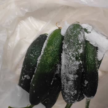 Profilo Buzdolabında Sürekli Arıza ve Yetersiz Servis Deneyimi