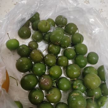 Profilo Buzdolabında Sürekli Arıza ve Yetersiz Servis Deneyimi