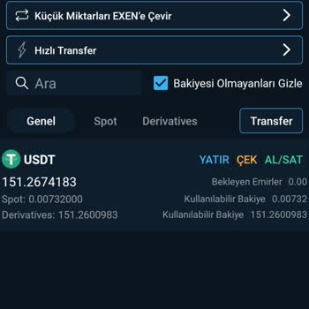 Bitexen Global'de Çekim Sorunu ve Kayıp Bakiye Mağduriyeti