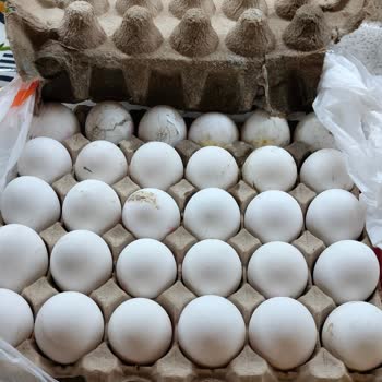 Migros Sanal Marketten Aldığım Kırık Yumurtalar İçin İade Yapılmıyor