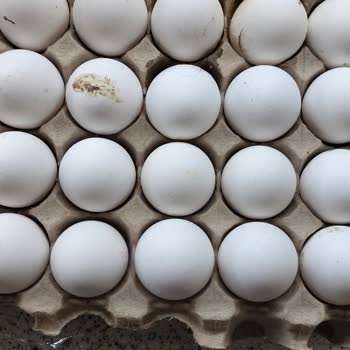 Migros Sanal Marketten Aldığım Kırık Yumurtalar İçin İade Yapılmıyor