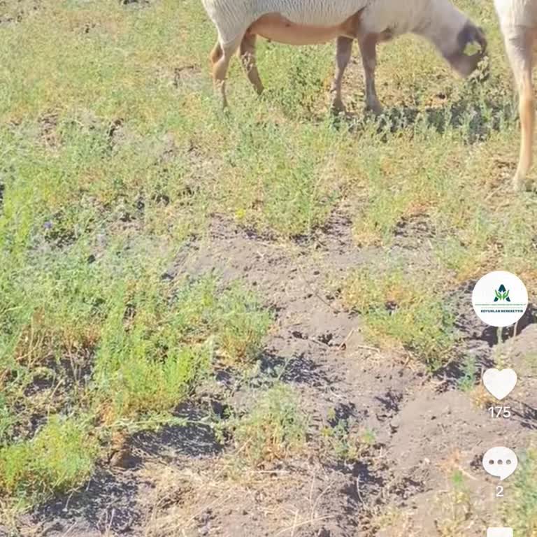 Paramı Çekemiyorum, Adres Hatası Mağduriyet Yaratıyor