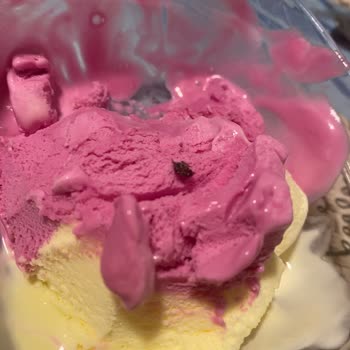 Dondurmada Karşılaşılan Böcek Şoku