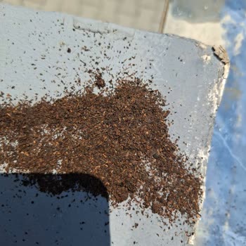 Aldığım Çayın Aşırı Tozlu Ve Düşük Kalitede Olması Hakkında Şikayetim