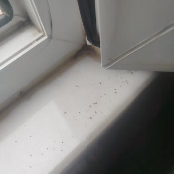 Şile 4 Mevsim Otel Oda Pis Ve Eksiklikleri Var