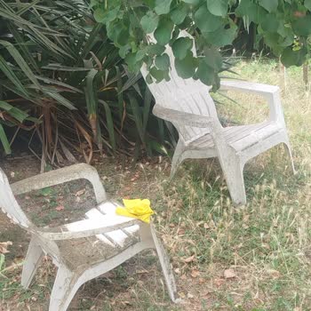 Şile 4 Mevsim Otel Oda Pis Ve Eksiklikleri Var