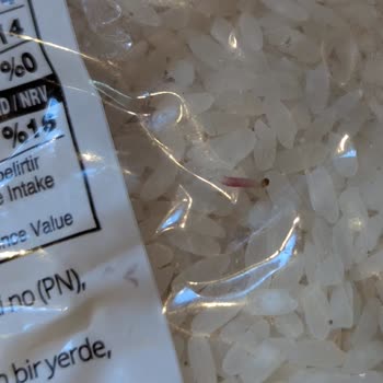 Açılmamış Pirinç Paketinde Kurtlanma Yaşadım Çözüm Sunulmadı