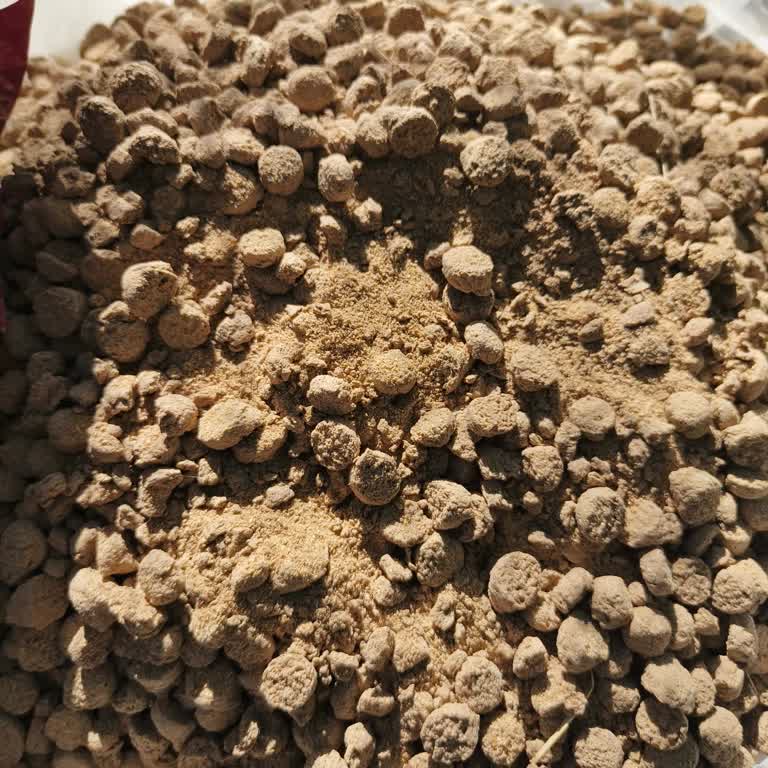 Bozuk Gelen Köpek Maması Ve Çözüm Sunulmayan Şikayet