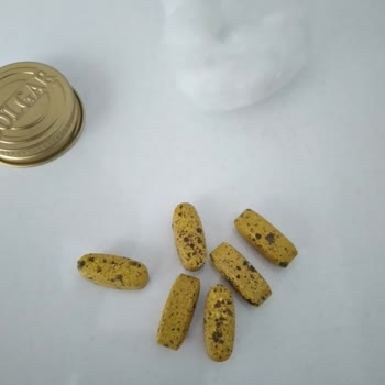 My Solgar VM2000 Vitamin Expired Early Despite 10/25 Date—I Want a Refund