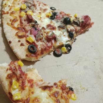 Pizzadan Sinek Çıktı, Ücret İadesi İstiyorum