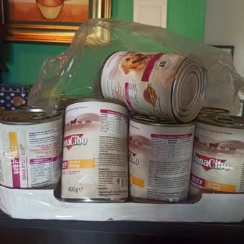 Ezilmiş Ve Hasarlı Konserve Mamalar, Yetersiz Ambalajlama Ve Sorunun Çözülmemesi