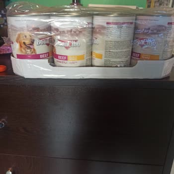 Ezilmiş Ve Hasarlı Konserve Mamalar, Yetersiz Ambalajlama Ve Sorunun Çözülmemesi