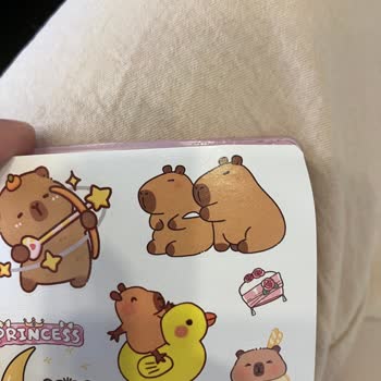 Çocuk Ürünlerinde Uygunsuz Görsellere Dair Endişe Ve Yardım Talebi