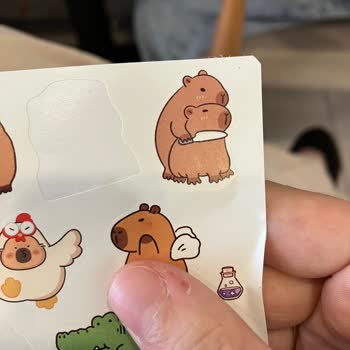 Çocuk Ürünlerinde Uygunsuz Görsellere Dair Endişe Ve Yardım Talebi