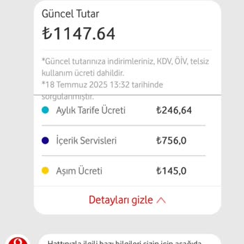 Bilgim Dışında Üçüncü Parti Servis Abonelikleri İle Yüksek Fatura Şoku