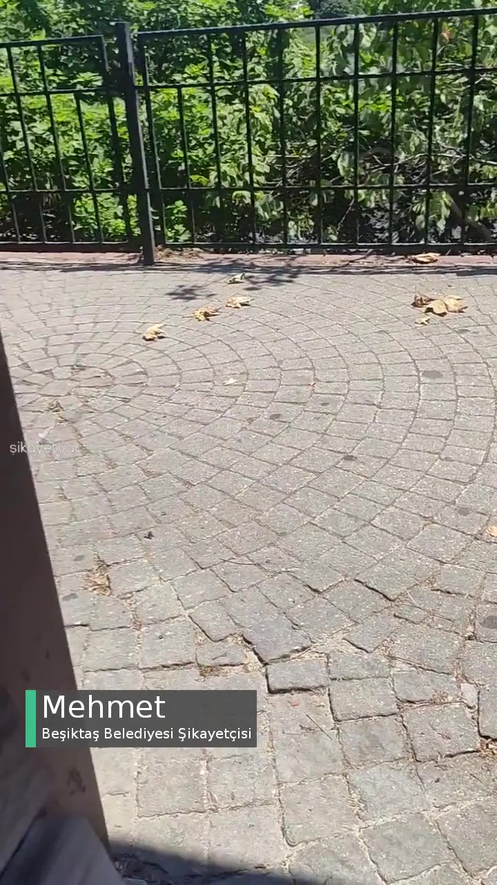 Beşiktaş Belediyesi Çalışanlarına Yükümlülükleri Hatırlatılmalı videonun kapak resmi