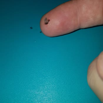 Garanti Kapsamında Satın Alınan Su Arıtma Cihazında Sağlıksız Su Ve Yetersiz Müşteri Desteği