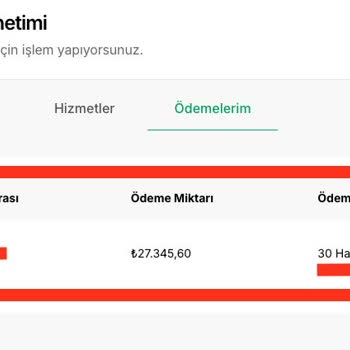Mükellef (mukellef.co) İle Şahıs Şirketi Kurulumunda Yaşanan Gecikme ve Destek Eksikliği