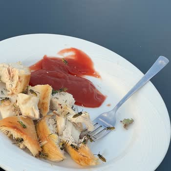 Newant Olympos Health Resort Mutfak ve Yemekler Tam Anlamıyla Hayal Kırıklığı