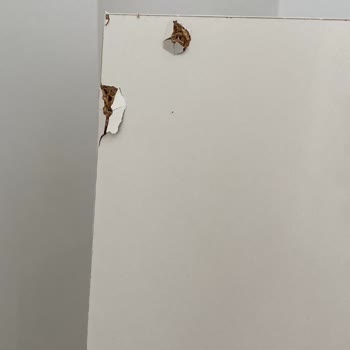 Mobilya Alımında Yaşanan Ürün ve Destek Sorunları