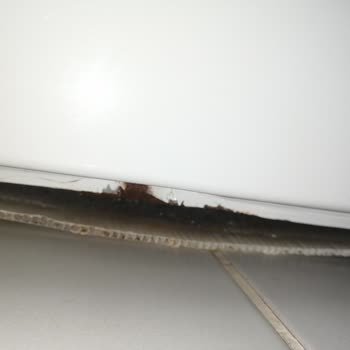 Samsung Çamaşır Makinesi Paslanma Ve Servis Mağduriyeti