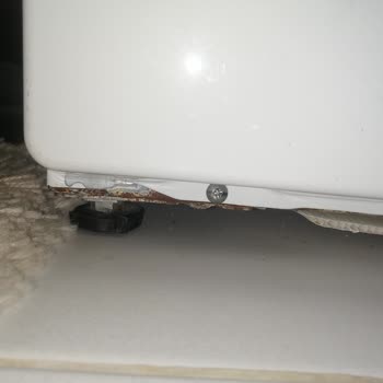 Samsung Çamaşır Makinesi Paslanma Ve Servis Mağduriyeti