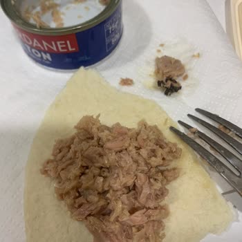 Ton Balığında Yabancı Cisim Şoku