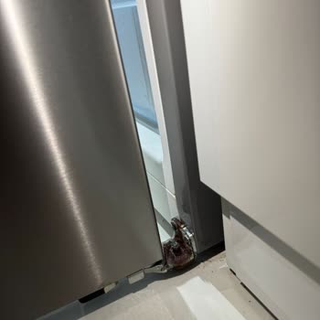 Bosch Garanti Kapsamında Değiştirilmeyen Buzdolabı ve Yüksek Ücret Mağduriyeti