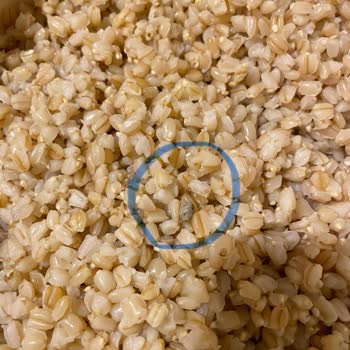 Aşurelik Buğdaydan Çıkan Taş Ve İlgisiz Müşteri Hizmetleri