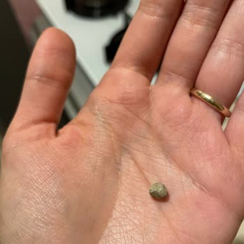 Aşurelik Buğdaydan Çıkan Taş Ve İlgisiz Müşteri Hizmetleri