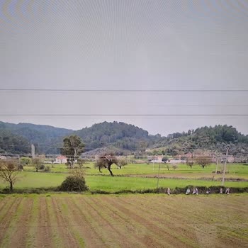 Samsung TV'de Garanti Sonrası Tekrarlayan Panel Arızası Mağduriyeti