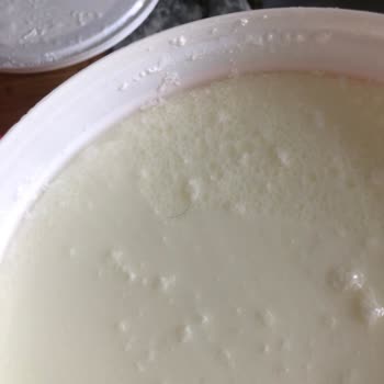 Yoğurt Kutusundan Kıl Çıkması Şok Etti