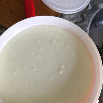 Yoğurt Kutusundan Kıl Çıkması Şok Etti