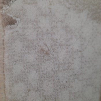 Halılarım Yıkamadan Gri Ve Tozlu Şekilde Geri Geldi