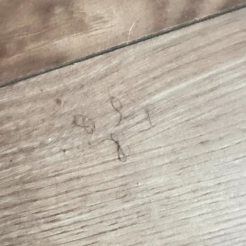 ETS Tur Ve Letoile Beach Hotel’de Sağlık Ve Hijyen Skandalı: Tatilim Zehir Oldu