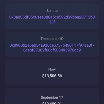 I Found Out Exodus Wallet Sent My Funds Without Consent and Demands ₺46,499 to Release Them