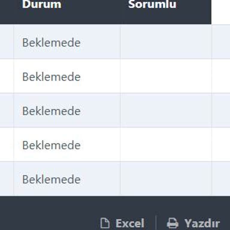 Disiplin Belgesi Gecikmesi Başvuru Süremi Kaçırmama Neden Oldu